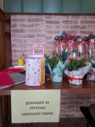 majka knezopoljka 8 mart 1 (1)