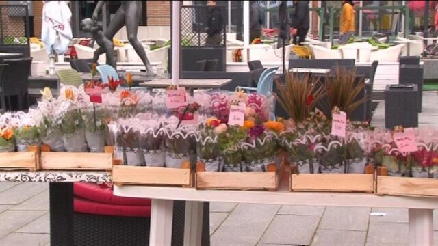 osmi mart 07 03 2022 8