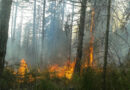Apel građanima – preduzeti mjere zaštite za sprečavanje širenja požara