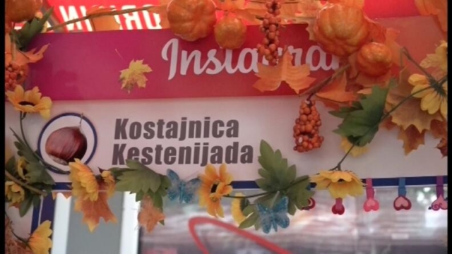 kestenijada kostajnica za 19 10 2023 11
