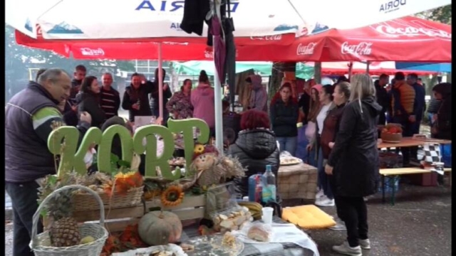 kestenijada kostajnica za 19 10 2023 8