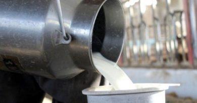 Izvoz mlijeka i mliječnih prerađevina lani premašio 146 miliona KM