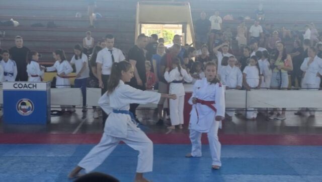 vidovdanski karate kup 2026 (38)