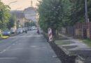 Uskoro novi drvored u Vidovdanskoj ulici; Ulaganje u ljepši izgled grada i zdraviju životnu sredinu Uskoro novi drvored u Vidovdanskoj ulici; Ulaganje u ljepši izgled grada i zdraviju životnu sredinu