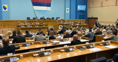 Usvojene dopune: Do tri godine zatvora za veličanje NDH i tzv. Armije BiH Usvojene dopune: Do tri godine zatvora za veličanje NDH i tzv. Armije BiH