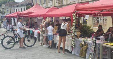 Šarenilo “Petrovdanske izložbe stvaralaštva” na gradskom trgu Šarenilo “Petrovdanske izložbe stvaralaštva” na gradskom trgu