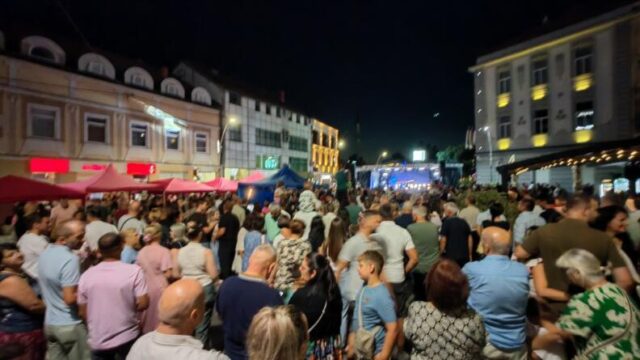 sasa stojakovic koncert petrovdan (41)
