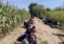 Zajednička akcija Granične policije BiH i Hrvatske: Na području Kozarske Dubice otkriven 61 migrant Zajednička akcija Granične policije BiH i Hrvatske: Na području Kozarske Dubice otkriven 61 migrant