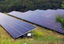 Kuzmić: Ne koristiti poljoprivredno zemljište za izgradnju solarnih elektrana