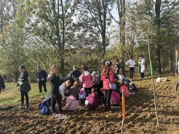 dan na selu odzinci 25 10 2026 (10)