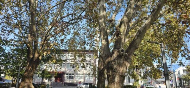 platani park 23 10 26 (12)