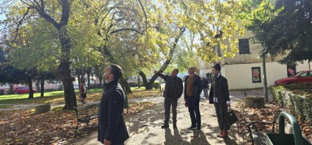 platani park 23 10 26 (15)