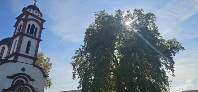 platani park 23 10 26 (18)