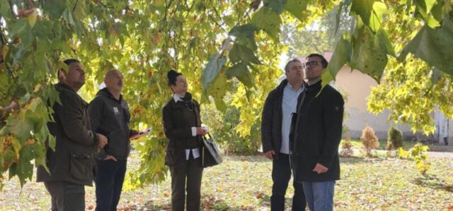 platani park 23 10 26 (27)