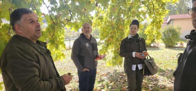 platani park 23 10 26 (30)