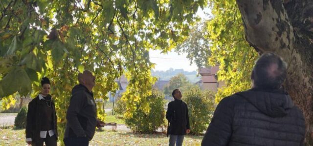 platani park 23 10 26 (31)