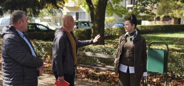 platani park 23 10 26 (6)