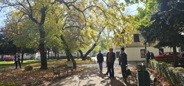 platani park 23 10 26 (8)